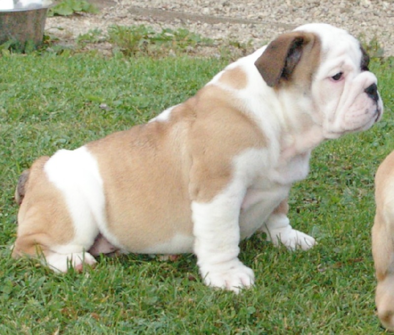Bébés 04 septembre
